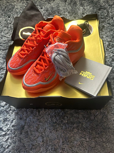Nike lebron xxiii safety - lebron, fk